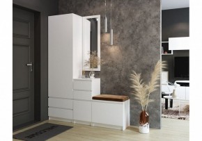 Шкаф платяной Мадера в Еманжелинске - emanzhelinsk.mebel24.online | фото 4