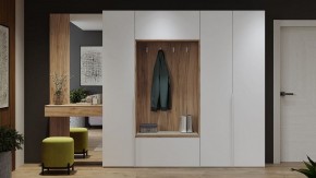Шкаф платяной Порто СМ-393.07.223 в Еманжелинске - emanzhelinsk.mebel24.online | фото 9