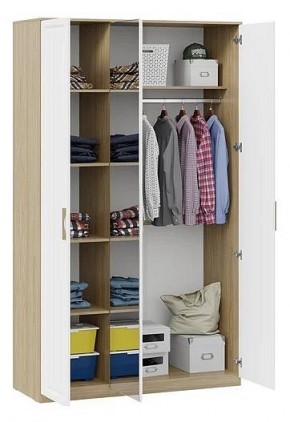 Шкаф платяной Сэнди в Еманжелинске - emanzhelinsk.mebel24.online | фото 3