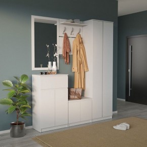 Шкаф платяной ШО-4 в Еманжелинске - emanzhelinsk.mebel24.online | фото 6