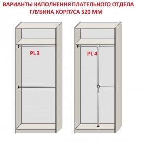 Шкаф распашной серия «ЗЕВС» (PL3/С1/PL2) в Еманжелинске - emanzhelinsk.mebel24.online | фото 10