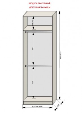 Шкаф распашной серия «ЗЕВС» (PL3/С1/PL2) в Еманжелинске - emanzhelinsk.mebel24.online | фото 12