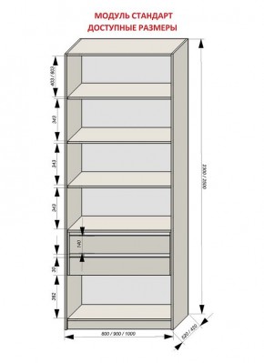 Шкаф распашной серия «ЗЕВС» (PL3/С1/PL2) в Еманжелинске - emanzhelinsk.mebel24.online | фото 13