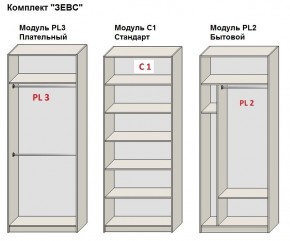 Шкаф распашной серия «ЗЕВС» (PL3/С1/PL2) в Еманжелинске - emanzhelinsk.mebel24.online | фото 2