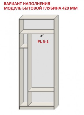 Шкаф распашной серия «ЗЕВС» (PL3/С1/PL2) в Еманжелинске - emanzhelinsk.mebel24.online | фото 4