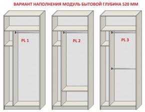 Шкаф распашной серия «ЗЕВС» (PL3/С1/PL2) в Еманжелинске - emanzhelinsk.mebel24.online | фото 5