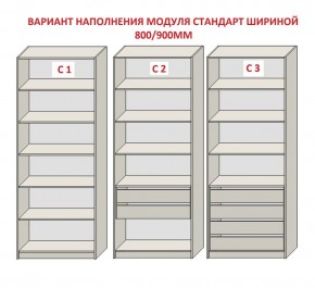 Шкаф распашной серия «ЗЕВС» (PL3/С1/PL2) в Еманжелинске - emanzhelinsk.mebel24.online | фото 6