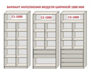 Шкаф распашной серия «ЗЕВС» (PL3/С1/PL2) в Еманжелинске - emanzhelinsk.mebel24.online | фото 7