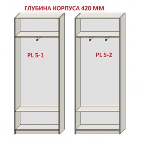 Шкаф распашной серия «ЗЕВС» (PL3/С1/PL2) в Еманжелинске - emanzhelinsk.mebel24.online | фото 8