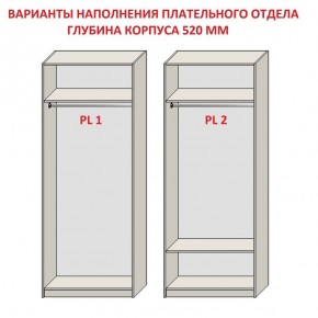 Шкаф распашной серия «ЗЕВС» (PL3/С1/PL2) в Еманжелинске - emanzhelinsk.mebel24.online | фото 9