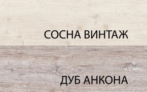 Шкаф с витриной 1V1D1S, MONAKO, цвет Сосна винтаж/дуб анкона в Еманжелинске - emanzhelinsk.mebel24.online | фото 3