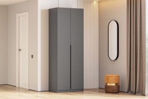 Шкаф ШК-5 + 2 полки (800) Графит серый в Еманжелинске - emanzhelinsk.mebel24.online | фото 2