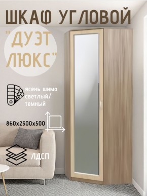 Шкаф угловой Дуэт Люкс с зеркалом в Еманжелинске - emanzhelinsk.mebel24.online | фото 3