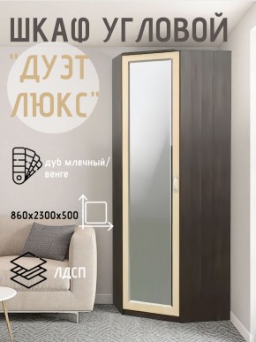 Шкаф угловой Дуэт Люкс с зеркалом в Еманжелинске - emanzhelinsk.mebel24.online | фото 5