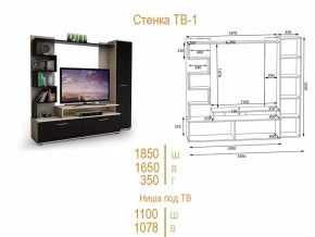 Стенка для гостиной ТВ-1 в Еманжелинске - emanzhelinsk.mebel24.online | фото 2