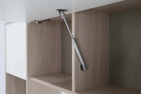 Стол компьютерный Котофей в Еманжелинске - emanzhelinsk.mebel24.online | фото 9