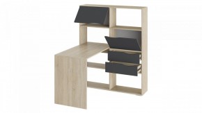 Стол компьютерный Тип 7 в Еманжелинске - emanzhelinsk.mebel24.online | фото 2