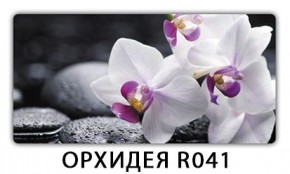 Стол обеденный Трилогия с фотопечатью K-7 в Еманжелинске - emanzhelinsk.mebel24.online | фото 6