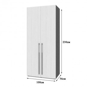 СТОУН С22 Шкаф 2-х створчатый (анкор темный/анкор светлый) в Еманжелинске - emanzhelinsk.mebel24.online | фото 2