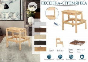 Табурет Стремянка в Еманжелинске - emanzhelinsk.mebel24.online | фото 6