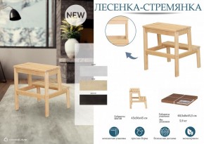 Табурет Стремянка в Еманжелинске - emanzhelinsk.mebel24.online | фото 4