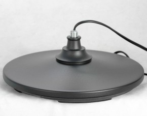 Торшер Lussole Greene LSP-0572 в Еманжелинске - emanzhelinsk.mebel24.online | фото 4
