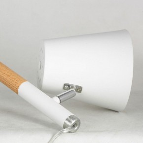 Торшер Lussole Buckeye LSP-0628 в Еманжелинске - emanzhelinsk.mebel24.online | фото 4