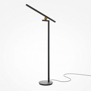 Торшер Maytoni Emphaty MOD363FL-L14B3K в Еманжелинске - emanzhelinsk.mebel24.online | фото 2