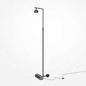 Торшер Maytoni Pikant MOD372FL-L10B3K в Еманжелинске - emanzhelinsk.mebel24.online | фото 2