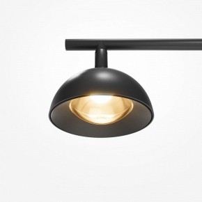 Торшер Maytoni Pikant MOD372FL-L10B3K в Еманжелинске - emanzhelinsk.mebel24.online | фото 7