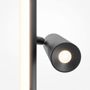 Торшер Maytoni Thin MOD395FL-L28B3K в Еманжелинске - emanzhelinsk.mebel24.online | фото 6