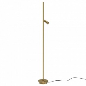 Торшер Maytoni Thin MOD395FL-L28BS3K в Еманжелинске - emanzhelinsk.mebel24.online | фото