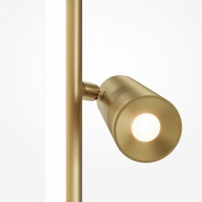 Торшер Maytoni Thin MOD395FL-L28BS3K в Еманжелинске - emanzhelinsk.mebel24.online | фото 5