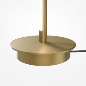 Торшер Maytoni Thin MOD395FL-L28BS3K в Еманжелинске - emanzhelinsk.mebel24.online | фото 7