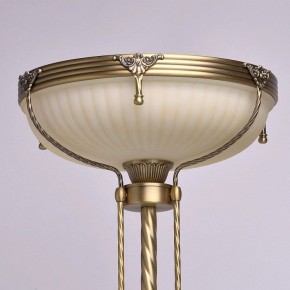 Торшер MW-Light Афродита 1 317040901 в Еманжелинске - emanzhelinsk.mebel24.online | фото 3