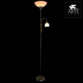 Торшер с подсветкой Arte Lamp Duetto A9569PN-2AB в Еманжелинске - emanzhelinsk.mebel24.online | фото 3