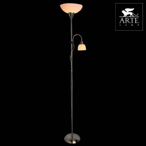 Торшер с подсветкой Arte Lamp Duetto A9569PN-2SS в Еманжелинске - emanzhelinsk.mebel24.online | фото 3