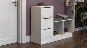 Тумба для обуви Тип 14 в Еманжелинске - emanzhelinsk.mebel24.online | фото 5
