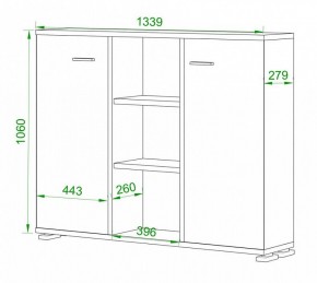 Тумба комбинированная Домино нельсон ПУ-60-3 в Еманжелинске - emanzhelinsk.mebel24.online | фото 2