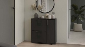 Тумбочка для обуви Тип 15 в Еманжелинске - emanzhelinsk.mebel24.online | фото 5