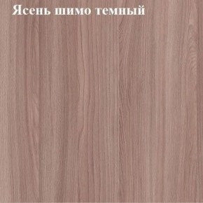 Вешалка для одежды (Ясень шимо темный) в Еманжелинске - emanzhelinsk.mebel24.online | фото 2