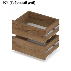 РОЛАНД Выдвижные ящики  Р76 в Еманжелинске - emanzhelinsk.mebel24.online | фото 10